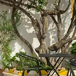 Bo House & Hairshop Hotel