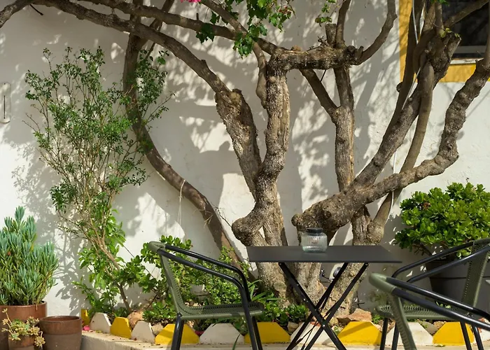 Bo House & Hairshop Hotel